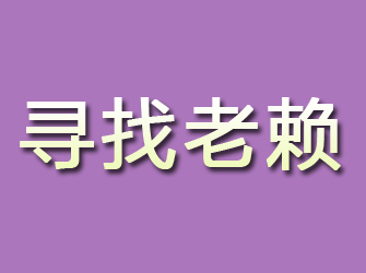 曲麻莱寻找老赖